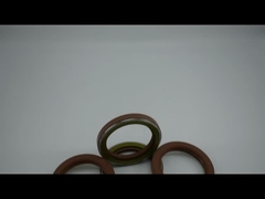 N0K तेल सील TCN Fkm तेल सील AP3409 FKM धातु NBR सील रिंग